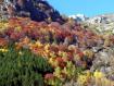 Autunno in Valmasino