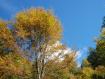 Autunno in Valsassina