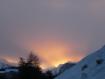alberi al tramonto