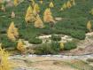 autunno a Livigno