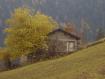autunno a Pedesina