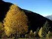 Trionfo autunnale in Val d