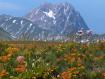 Gran Sasso