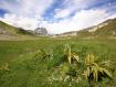 primavera sul Gran Sasso