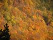 L�autunno nei Monti Sibillini