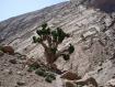 Marocco trek