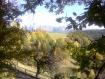 Bosco in alto adige