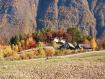 "Autunno alla Larice".