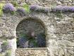 fiori nelle rocce a rinelda