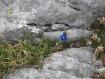 stelle alpine sul Grignone
