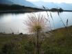 Di vedetta sul lago.