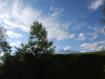 Piante di Dal�- Lagunc