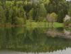 Conifere Lago Cei Villa Lagarina_(TN)